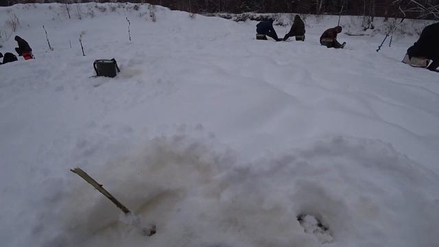 Рыбалка на безмотылку! Нужен живец!