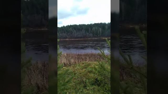На берегу Сухоны дер. Берёзовая Слободка 21.10.2019 г. смотреть онлайн