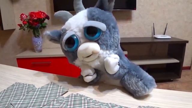 Как Саня КОзела развел. Или как КОзел с Саней играли в карты. смотреть онлайн