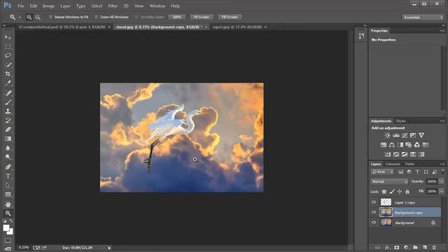 Bird Photography Photoshop CC Compositing смотреть онлайн