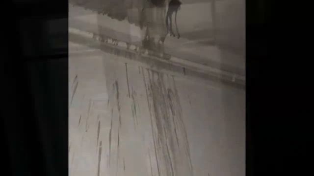 Казусы в доме Леонова: ПОДЪЕЗД-КОНТРОЛЬ#8 смотреть онлайн