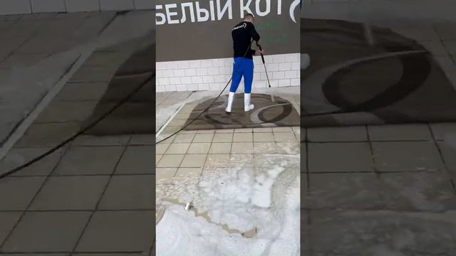 Стирка ковра «Белый кот» смотреть онлайн