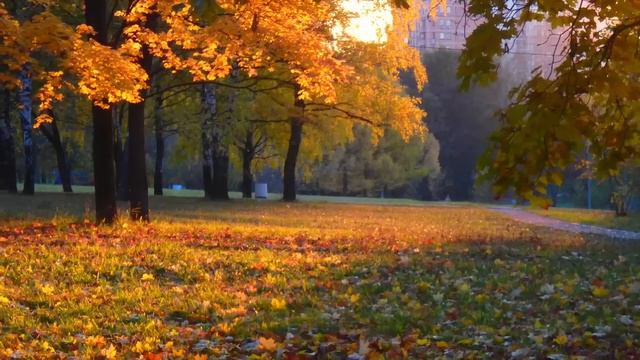 Золото московской осени! смотреть онлайн