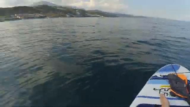 Ловим Морского Дракона и ставриду на сап доске в Черном море. смотреть онлайн