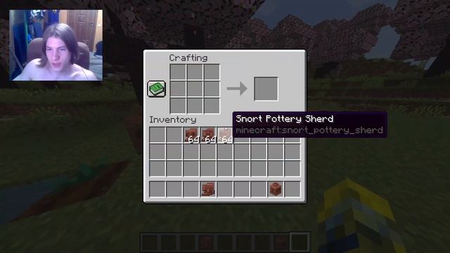 Новая пластинка & 5 достижений! | Обзор снапшота 23w17a