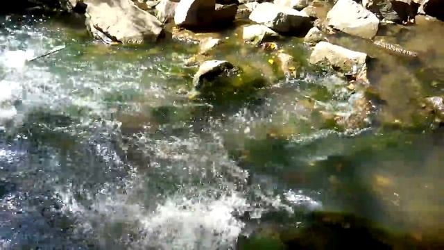 VID 20160820 125044 Река Ельцовка. Новосибирск смотреть онлайн