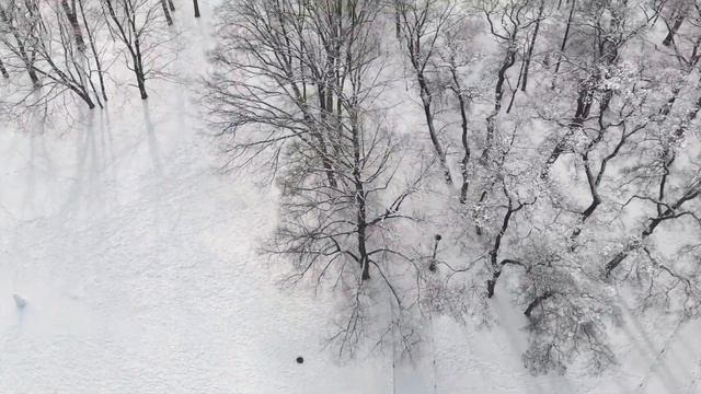 христос воскрес смотреть онлайн