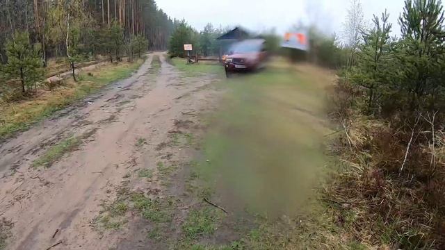 Сырть, Вимба, она же Рыбец. Рыбалка на реке Луга #рыбалка #рыбалка2022 #рекалуга