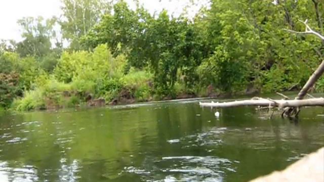 🖐️ Эволюционное число. Человек не венец творения смотреть онлайн