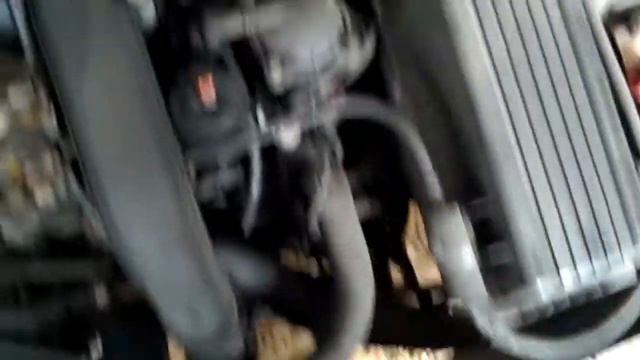 T1172 ДВС (Двигатель) Peugeot 406 1.9td DHX XUD9TE смотреть онлайн