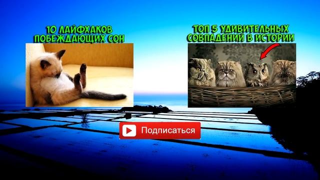 ГИБРИДЫ ЖИВОТНЫХ И ЛЮДЕЙ, КОТОРЫЕ РЕАЛЬНО СУЩЕСТВУЮТ! смотреть онлайн