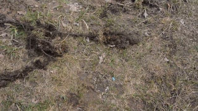 Корень ольхи смотреть онлайн