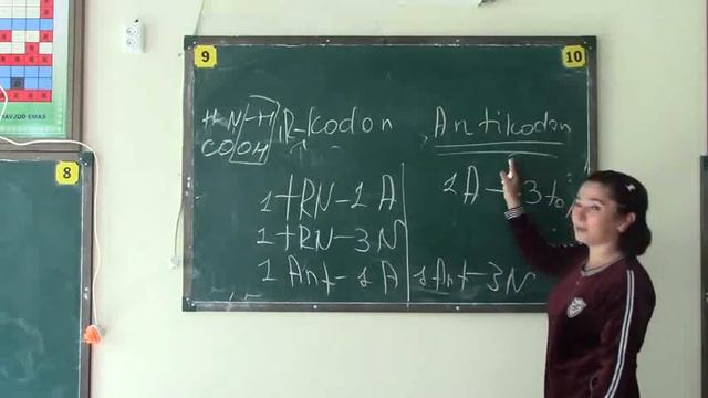 Biologiya DNK RNK haqida asosiy tushunchalar Fotima ustoz смотреть онлайн
