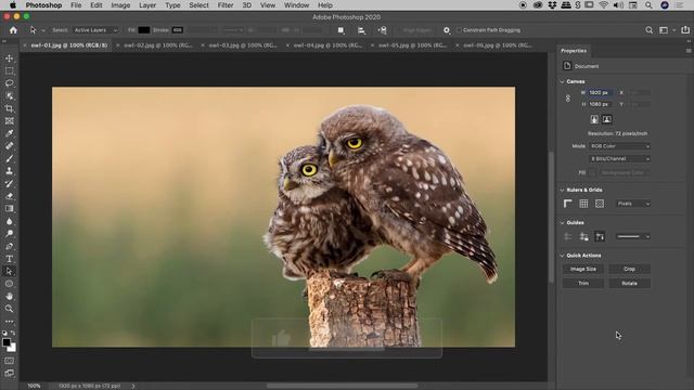 Quickly Cycle Through All Open Files in Photoshop смотреть онлайн