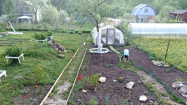 11 мая! Муж косит траву. смотреть онлайн