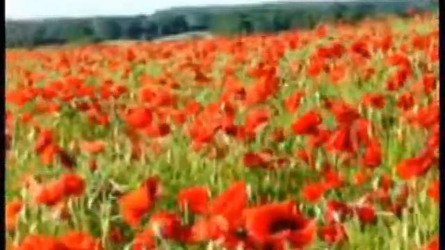 Jack Gibbons Unfinished melody (without opus number) смотреть онлайн