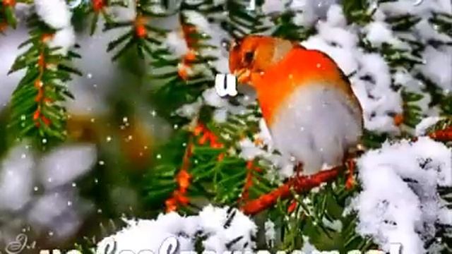 С Новым 2020 видио поздравления с Новым годом душевно поделись отправь друзьям смотреть онлайн