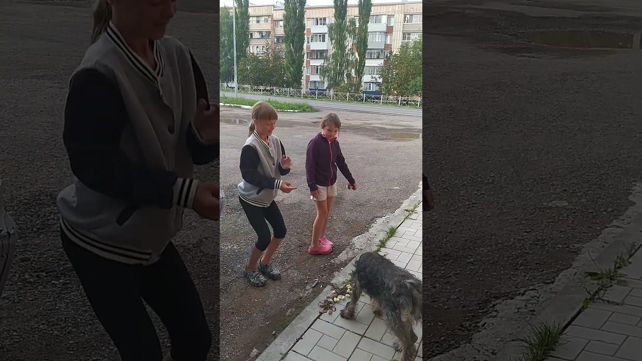 24 июля 2024 г. смотреть онлайн