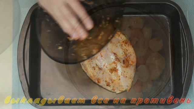 Зоопарк и Дикие Животные