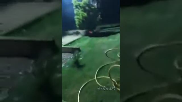 Не надо было "взрывать" норы суслика во дворе смотреть онлайн