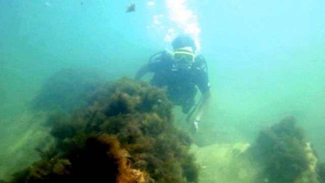 Сочи | Лазаревское, Черное море, Обучение дайвингу смотреть онлайн