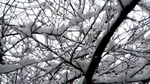 Зимний вид из окна. смотреть онлайн