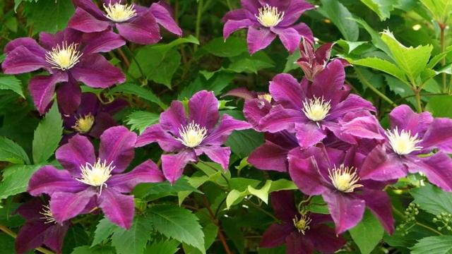 Самоисцеление. Практика. (Продолжение)