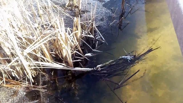 25 февраля АЛЕКСЕЙ РЫБНЫЙ . ЧТО НЕЛЬЗЯ ДЕЛАТЬ В ЭТОТ ДЕНЬ.. народные приметы и традиции смотреть онлайн