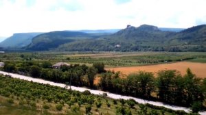 Новозеландские виды в Крыму - Бахчисарайский район, с. Танковое