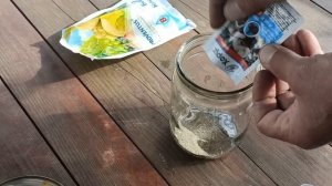 Обработка от монилиоза весной (вишни,черешни,абрикоса,сливы). Чем обработать от пустоцвета, опадани