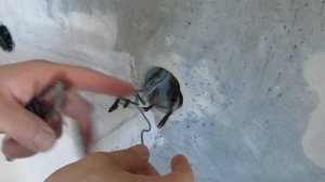 Установка клемм WAGO. Разветвление кабеля 220 В