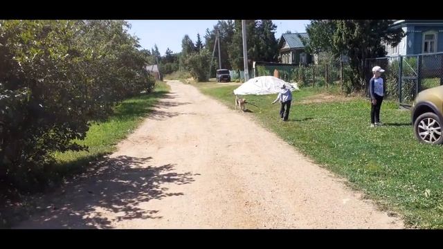 События последних дней. смотреть онлайн