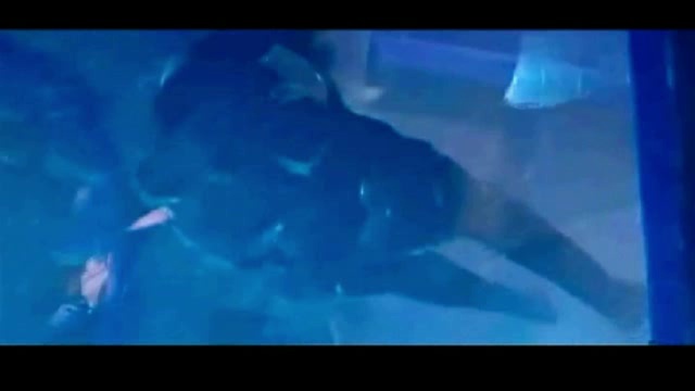 Best Of Van Damme.... (BARON)dable смотреть онлайн
