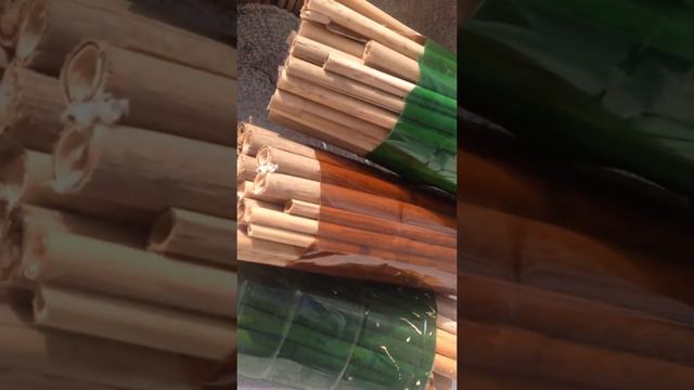 Пчёлы осмии опылители смотреть онлайн