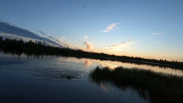 КАРАСЬ КАК ЛАПОТЬ ПОПАЛСЯ! РЫБАЛКА НА ПОПЛАВОК С МОРМЫШКОЙ! В БЕЛЫЕ НОЧИ РЫБА НА СЕВЕРЕ НЕ СПИТ!!! смотреть онлайн