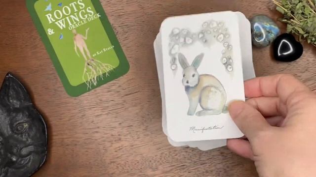 Fast 5 Minute Flip Though ~ Roots & Wings Oracle Deck ~ You NEED this Deck! смотреть онлайн