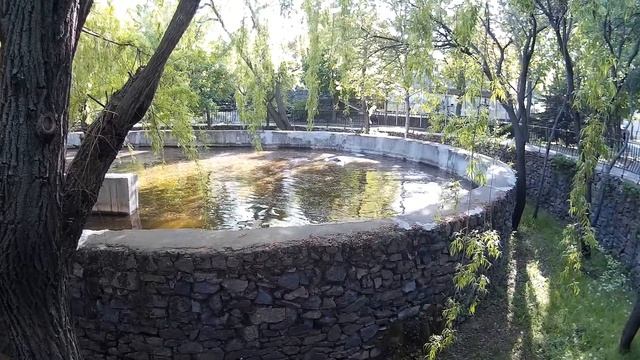 Бассейн с бегемотами в зоопарке