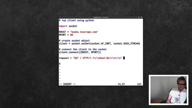 Python Socket TCP client example code смотреть онлайн