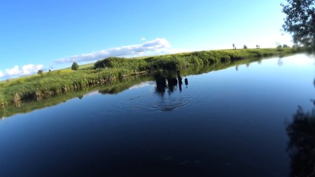 ЛЮТАЯ РЫБАЛКА НА КАРПА! ТАКУЮ РЫБУ МЫ ЕЩЕ НЕ ВИДЕЛИ! ЮРЕЦ СУПЕР РЫБАК И ВЕСЬ КАРП НАШ!" смотреть онлайн