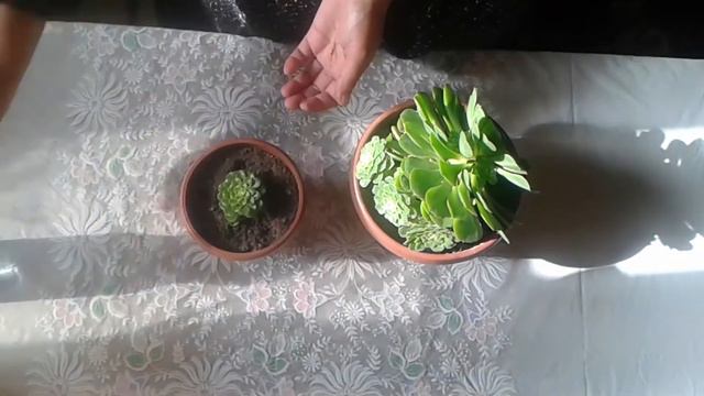 Tosh atirgul molodilo смотреть онлайн