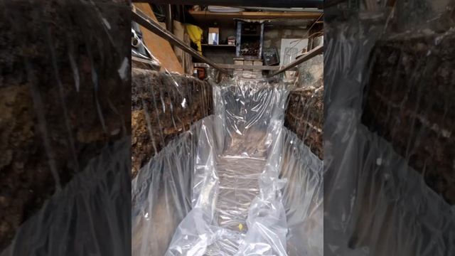 Начало строительства смотровой ямы в гараже. смотреть онлайн