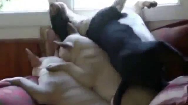 все места заняты смотреть онлайн