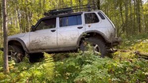 Брошенные сибирские таёжные дороги. Пробег 4х4