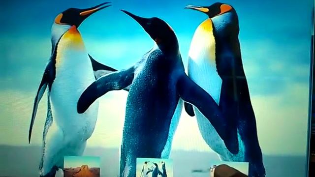 Processing & Java Demo 3 Vedio By Aartek смотреть онлайн