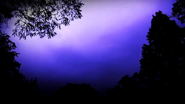 Деревья Умирают Стоя Мы живем на одной планете смотреть онлайн