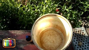 КАК ИЗБАВИТЬСЯ ОТ ТЛИ НА ЯБЛОНЕ СУПЕР СРЕДСТВО