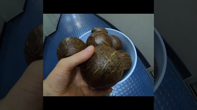 Кокосы Старт- Coconut handmade смотреть онлайн