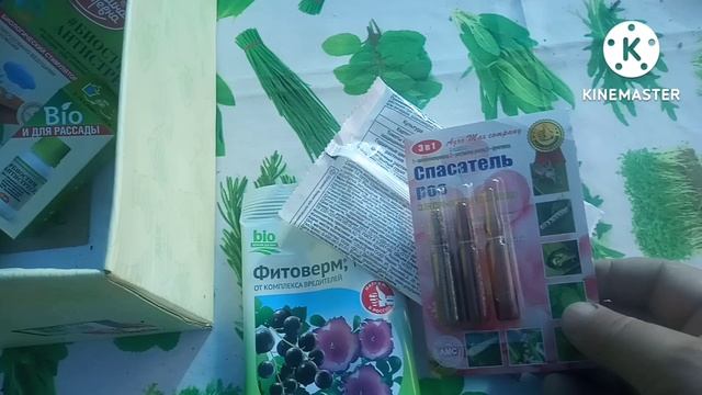 На розах тля. Срочно уничтожить . смотреть онлайн