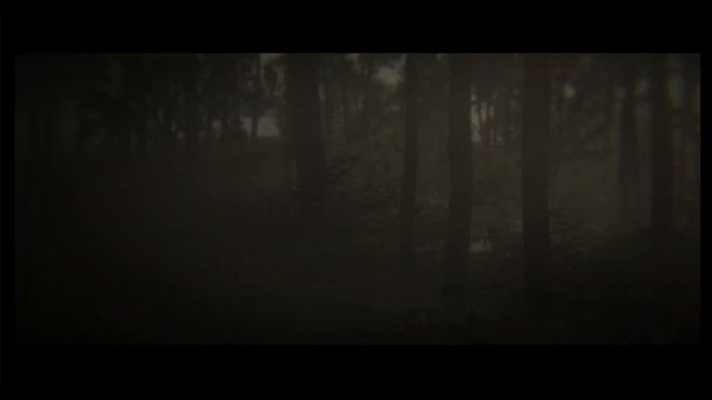 Get a Braithwaite Stallion in Chapter 3.Turkoman, Black or White Arabian - a 2021 Guide - Red Dead смотреть онлайн