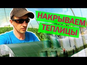 Затеняющая сетка для клубники